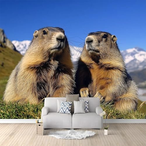 Alpen Murmeltier Fototapete Blau Fototapeten Wandbild Motivtapeten Vlies-Tapeten Moderne Wandtapete Wand Schlafzimmer Wohnzimmer Dekoration 300x210 cm