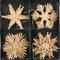 Strohsterne zum Hängen Mehrere Größen - Strohsterne Baumschmuck Christbaumschmuck (12 Strohsterne 11 cm)