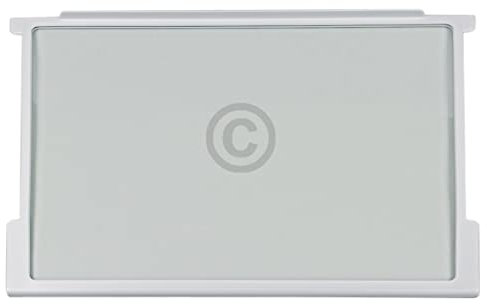 Glasplatte kompatibel mit GORENJE 163336 465x300mm für Lebensmittelfach Kühlschrank KühlGefrierKombination