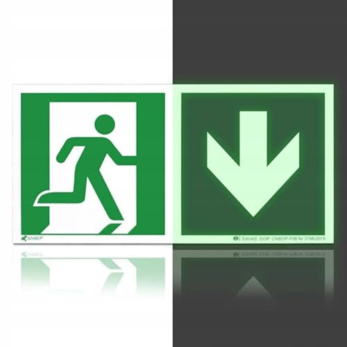 Photolumineszierendes PVC-Feuerlöscher-Schild – 10 x 10 cm, Rettungsschild für Brandschutz und Notfallsituationen – Feuerlöscher mit Flamme (Grün, Gehen Sie zur Tür nach oben 30x15 (links))