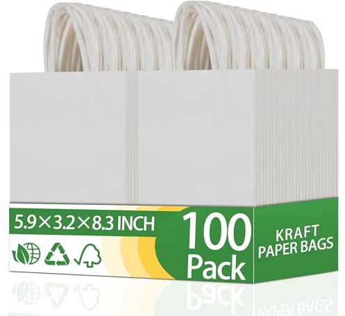 OEMVALATY 100Pcs 5.9x3.2x8.3 Inch Small White Paper Bags with Handles Bulk Gift Wrap Bags Kraft Paper Gift Bags for Birthday Party Favors Grocery Retail Business Shopping Merchandise Goody Craft Bags