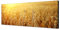 Augenblicke Wandbilder Keilrahmenbild Wandbild 150x50cm Kornfeld Herbst Sonnenuntergang