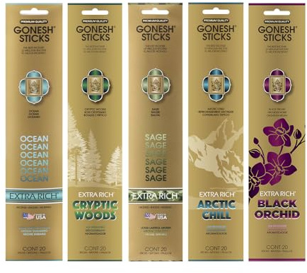 Gonesh - Extra Rich Scented Incense Sticks Variety Pack - Non-Toxic 10” Slow Burn Aromatic Sticks - Ocean, Cryptic Woods, Sage, Arctic Chill, Black Orchid - 5 Packs of 20