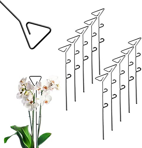 KADAX Blumenstütze, 10 Stück, Pflanzenstütze aus Stahl, Höhe: 50 cm, dekorative Stützstäbe für Orchideen, Blumen, Pflanzen, Zimmerpflanzen, Blumentopf, Rankhilfe, Rankstäbe (Dreieck)