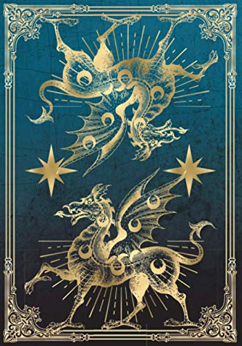 Tale of the Twilight Dragons Campaign Notebook: RPG Journal Mixed Paper Ruled, Graph, Hex (RPG Notebooks)
