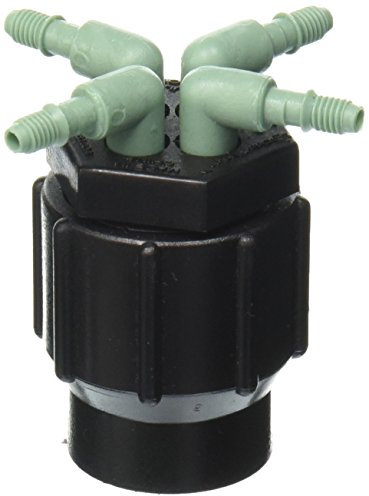 Orbit Manifold Parent (10)
