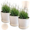 KADAX Pot de Fleurs en Plastique avec Soucoupe, Pot de Plante pour Une Décoration Florale Moderne dans l'espace Interieur (Lot de 3 : Crème, 16 cm)