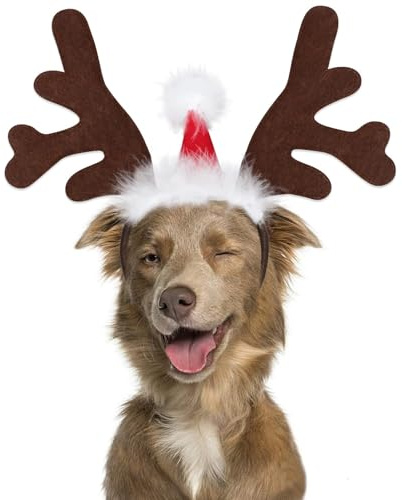 Deguisement Chien Noel, Bandeau de Noël pour Animaux de Compagnie, Serre-Tête Chien Renne Réglable, Chat Bois de Renne, Accessoires Vestimentaires pour Animaux de Compagnie (B)