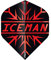RED DRAGON Hardcore Gerwyn Price Rot Premium Standard Dartflug - 3 Set pro Packung (insgesamt 9 Dart-Flights)