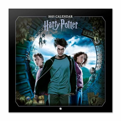 Kalender 2025 Wandkalender 2025 Grupo Erik Filme Harry Potter Kalender 2025 Familienplaner 2025 30 x 30 cm Jahreskalender Familienkalender 2025 - Offizieller Harry Potter Fanartikel