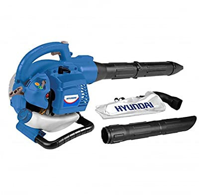 Hyundai Vacuum Blower 'CX-kw250' hp 0.8