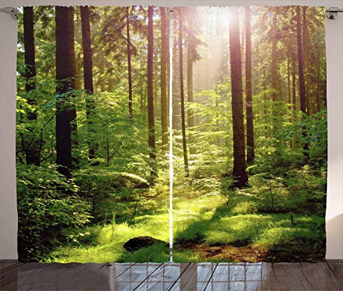 ABAKUHAUS Wald Rustikaler Vorhang, Sunset Moss Woods Bäume, Wohnzimmer Universalband Gardinen mit Schlaufen und Haken, 280 x 245 cm, Grün Braun