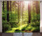 ABAKUHAUS Wald Rustikaler Vorhang, Sunset Moss Woods Bäume, Wohnzimmer Universalband Gardinen mit Schlaufen und Haken, 280 x 245 cm, Grün Braun