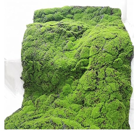 ALFAAL Künstliche Moosmatte Anti-Aging-Material Simulation Moosiger Flechten Deko Moos Künstlich für Urlaub Büro Wohnzimmer Garten Spielplatz Dekoration (Color : D, Size : 100x100cm/39.37x39.37in)