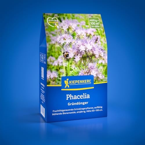 Kiepenkerl Phacelia 1081200, Gründüngungssaat | Auffällig blühende Bienenweide, circa 60-100 cm, Bodenlockerung, Bodenverbesserer, einjährig