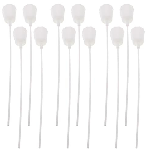 Parliky 12 Sets Teiliges Mini Blumenstraußhalter DIY Sukkulenten Blumenarrangement Werkzeug Pflanzendekoration Halter für Sauberen Schnellen Blumenstraußaufbau