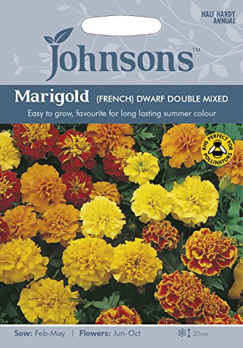 Johnsons MARIGOLD (French) Dwarf Double Mixed