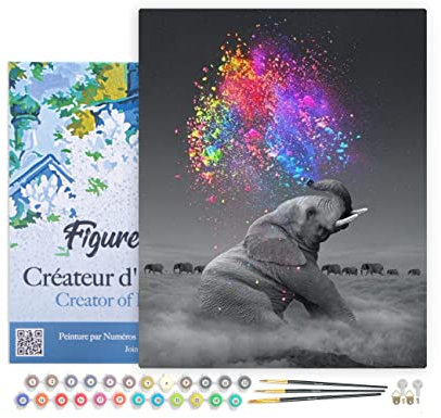 Figured'Art Peinture par Numéro Adulte avec Cadre Eléphant et explosion de Couleurs - Activité Manuelle Kit de Loisir Créatif DIY Numéro d'Art Complet - 40x50cm toile tendue sur châssis