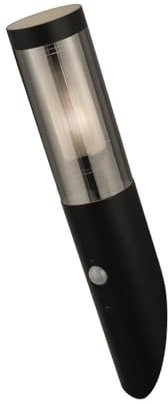 Licht-Erlebnisse Wandleuchte außen Bewegungssensor IP44 E27 Schwarz Rauchgrau Edelstahl Modern PETER Außenlampe Haus Wandfackel Eingang