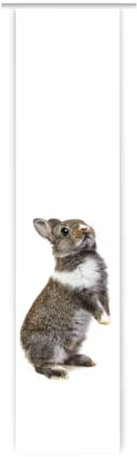 gardinen-for-life Flächenvorhang Rabbit, Toller Schiebevorhang mit Druck-Motiv, Gr.60x260 cm Nicht Nur für Ostern