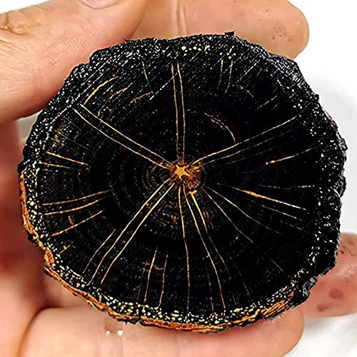 Aibote Bloc de bois de hêtre stabilisé avec poignées en grain, poignée en matériau pour lames vierges et couteaux (chacun est unique) (noir, diamètre (4 cm ~ 5 cm)