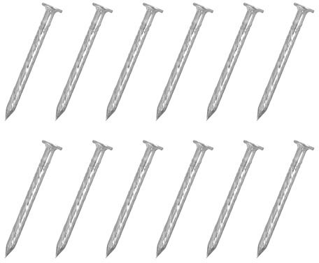 QUARKZMAN 50 Stück Zaun-Deck-Nägel, 1 Zoll 304 Edelstahl Spiral-Deck-Nagel Spiral-Schaft-Spikes für Hausbodenreparatur Holzbearbeitung, Silber