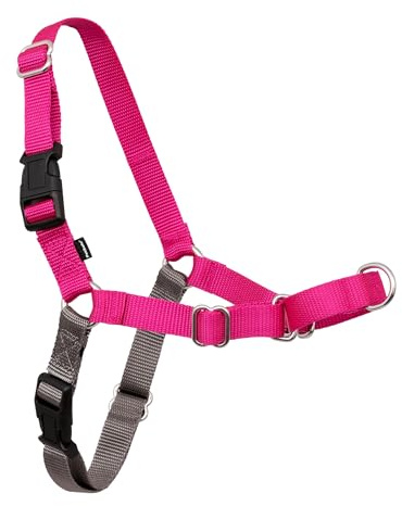 PetSafe Easy Walk No-Pull Dog Harness - Ultimate Harness to Help Stop Pulling - Pull-Free Walks - Take Control & Teach Better Leash Manners - Patented Martingale Loop Design - Raspberry, Medium