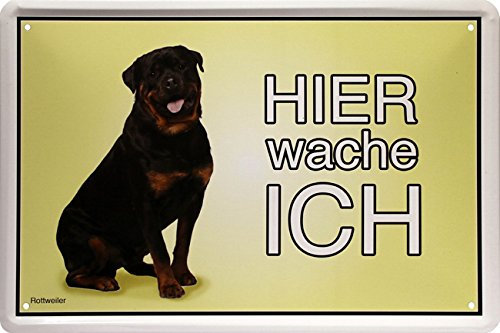 Hier wache ich ! Rottweiler Hund Dog 20 x 30 Türschild Deko Blechschild 1400
