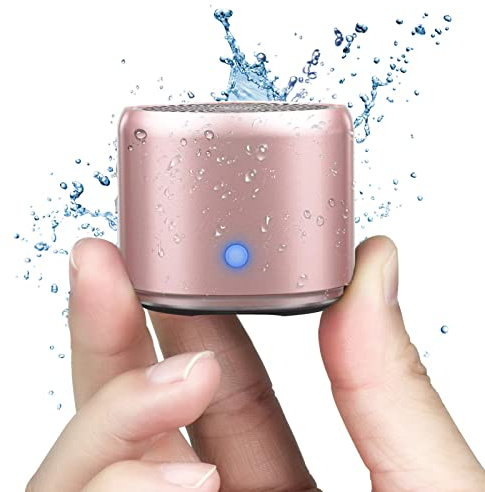 Ewa Con Custodia da Viaggio, A106 Mini Altoparlante Bluetooth Portatile Cassa waterproof all'Acqua IP67 Riproduzione di 12 Ore Speaker con Bassi Potenti per Interni e all'Aperto (Oro Rosa)