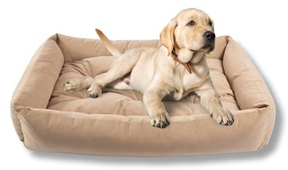 MISIOO Pet Zen Hundebett Waschbar 120x80 cm - Hundekorb Grosse Hunde - Komfortables Hunde Bett für Große Rassen, Waschbare Hundematte für sauberes und gemütliches Schlafen