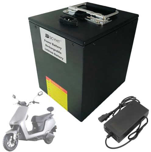 SSCYHT Batteries au Lithium 60 V 27 Ah 22,5 Ah 16 Ah Batterie LiFePO4 48 V 20 Ah Batteries de Remplacement 60 V Batteries Motos avec Chargeur et BMS pour Moteur 250 W à 1 900 W,48v31.5ah