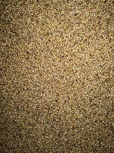 Eurital Futter Hanf/Hanfsamen/Hanfsaat für Vögel und Pferde (5 kg)