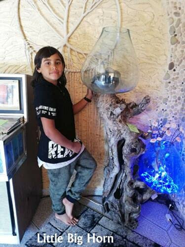 Original Little Big Horn Gigante Design Vase Wurzelholz Glasvase Unikat Glasvase Gigante Root Glass vase