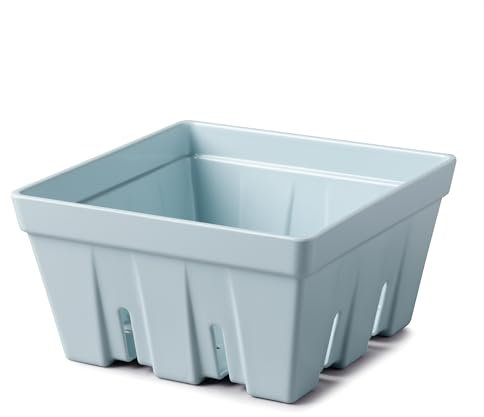 Zeal Fridge Storage Box for Fruits and Salad, Melamine Kitchen Storage Container – Wash and Serve Fruit & Salad Colander Box, Large 19cm (Duck Egg Blue)
