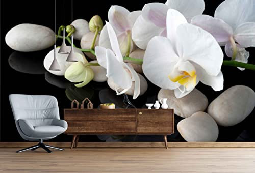Myphotostation Weiße Orchidee zum Abziehen und Aufkleben, abnehmbar, selbstklebend, Motiv: Orchidee, 470 x 277 cm (B x H)