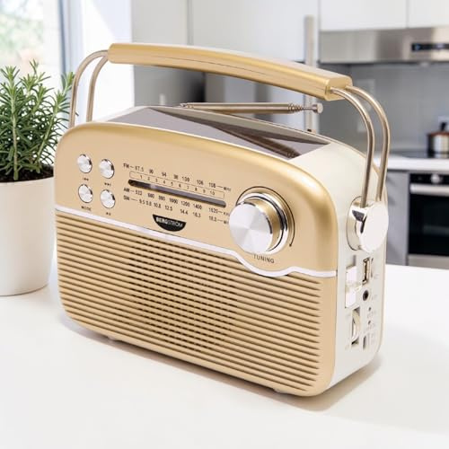 3 PAGEN® tragbares Solar Radio Retro Design – Solar- & Akkubetrieb FM/AM/SW – Bluetooth, USB & Micro-SD – kabellos, kompakt & flexibel - wiederaufladbar