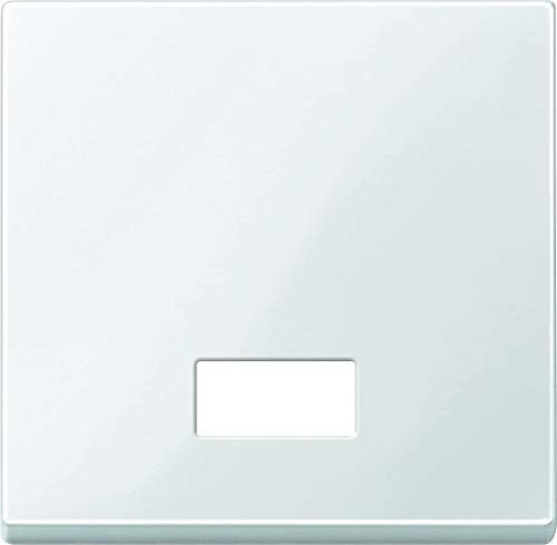 Merten 432819 Wippe mit rechteckigem Symbolfenster, polarweiß glänzend, System M