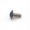 Metallschraube M5 x 12 mm RAL 7016 grau anthrazit Linsenkopf Innensechskant Sockel Edelstahl A2 x 100