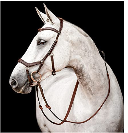 AMIGO Unisex-Erwachsene Micklem Zaumzeug Zügel, Dunkles Havana, Large Cob