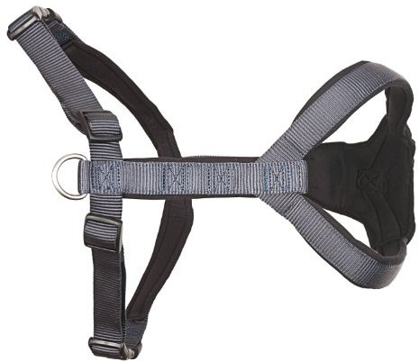 Wolters Geschirr Professional Comfort Hunde Geschirr Hundehalsband Brustgeschirr Softgeschirr graphit/schwarz XS - XXL