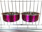 Ellie-Bo Paire de Chien Bols pour caisses/Cages ou stylos, Medium, 0.9 Litre, Rose