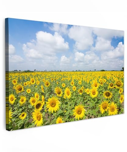 MuchoWow© Impression sur Toile Decoration Murale Peinture Tableaux | 60x40 cm - Decoratifs Muraux Déco Chambre Tableau Salon Tournesols - Fleurs - Nuages - Nature - Jaune - Paysage