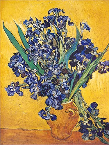 1art1 Vincent Van Gogh Poster Iris, 1889 Bilder Leinwand-Bild Auf Keilrahmen | XXL-Wandbild Poster Kunstdruck Als Leinwandbild 40x30 cm