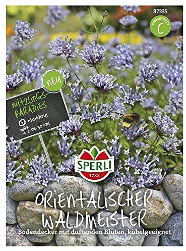 Sperli Waldmeister Orientalischer Saatgut