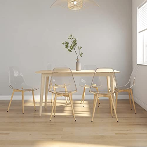 KTHLBRH Esszimmerstühle 6 STK. Transparent PET,küchenstuhl,stühle,esstisch stühle,Stuhl,Stühle für Esszimmer Arbeitszimmer, Wohnzimmer, Schlafzimmer