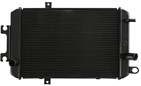 TERAM LOISIRS Radiatore compatibile per Suzuki VZR 1800 2006 2007 2008 2009 2010 2011 2012 2013 2014 2015 2016 2017