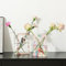 PORPAN Buchvase, Acryl, für Blumen, Klare, Moderne, Dekorative Vase, für Wohnzimmer, Badezimmer, Büro, Regal, 2 Stück