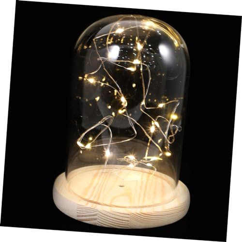 Amosfun Glaslichter Mit Holzsockel Und Glaskuppel Warmweiße Led-lichterketten Für Dekorbeleuchtung Im Wohnzimmer Flur Nachttischlampe Energieeffizient Mit Geringem Stromverbrauch Und Stimm