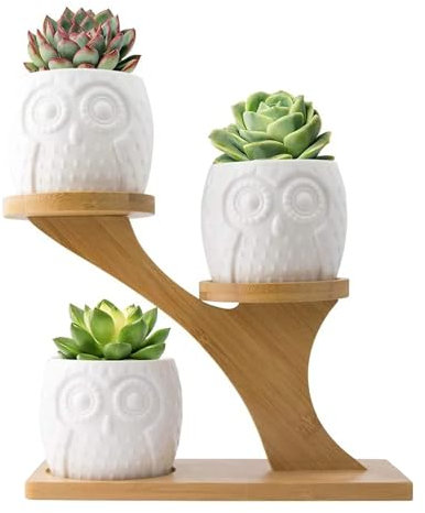 Set 6 Pezzi Vasi In Ceramica Fiori Piante Grasse Gufi Con Sotto Vaso In Bambù Foro Centrale Cactus Decorazione Interno Esterno Casa Vasetto Con Foro Scarico Fioriera Contenitore - 4AlberelloGufi