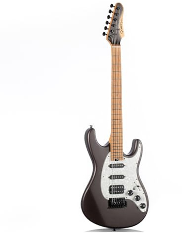 E-Gitarre Solidbody E-Gitarre für Einsteiger und Profi-Instrumente